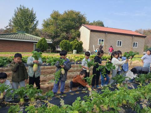 2025학년도 11월 무뽑기